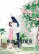 《沈颜心陆肃粤》小说大结局在线