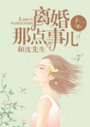 《和沈先生离婚那点事儿》小说精