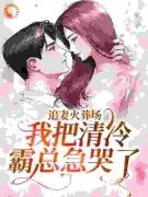 热文《追妻火葬场：我把清冷霸总