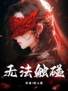 《无法触碰》全文及大结局精彩试