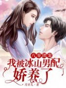 《八零团宠，我被冰山男配娇养了