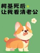 沈璟川小黎以溪免费阅读 柯基死后