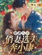 许丽娟贺鸣枫逆袭八零：俏妻选夫