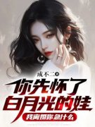 《陈英凡林如雪》完结版精彩阅读