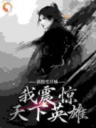 《剑指雪月城，我震惊天下英雄》