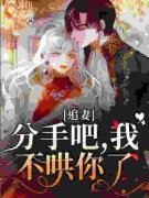 《追妻：分手吧，我不哄你了》小
