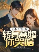 张东林菲忘不了白月光，转身离婚
