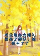 《虞安安裴褚阳》小说大结局在线