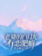 《宋诚白忆辰林霜》老婆的白月光