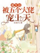重生后被五个大佬宠上天苏沫厉沉