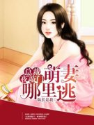 《白童惜孟沛远》总裁夜敲门：萌