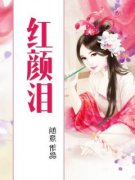 《红颜泪》小说章节列表免费阅读