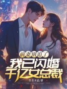 好书推荐《前妻别追了，我已闪婚