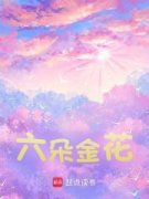 《六朵金花》小说在线阅读 《六朵