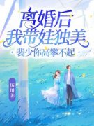 《宋玦裴献》小说主角离婚后我带