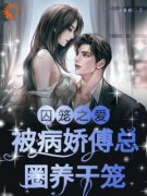 小说《何雪傅镇龙》囚笼之爱！被