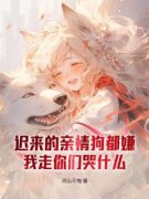 《叶天叶鹿茗》小说章节精彩阅读