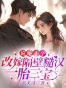 《沈绾顾卫东》小说章节列表免费