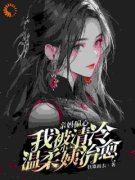《陈野沈清欢》小说完结版精彩阅
