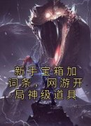 新手宝箱加词条，网游开局神级道