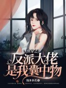 精品热文《萧娆楚墨寒》快穿之反