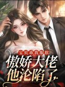 《别对我服软》小说章节列表精彩