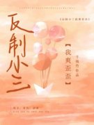 爽文：反制小三我爽歪歪小说全文
