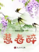 热文《沈辞盈谢之寻》惹春醉小说