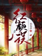 苏漾苏慕主角红颜误全文精彩内容