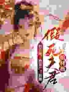 《宋言汐林庭风》小说章节在线试