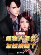 《林浅浅傅淮深》小说全文精彩阅