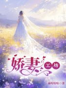 徐翔柔柔小说 《娇妻工坊》小说全