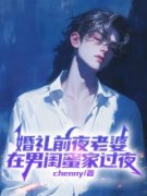 【爆款新书】沈溪萧婷苏陌 婚礼前