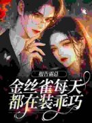 暗里贪欢全集免费在线阅读（傅婳
