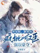 《苏皎皎陆修砚》小说完结版免费