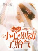 宋凉音陆战霆全文在线阅读 陆总，
