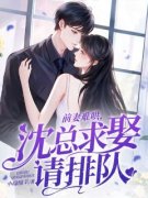 前妻难哄，沈总求娶请排队全章节