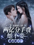 《陆心妍齐砚墨》两亿分手费她不
