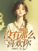 《其实我也没有那么喜欢你》小说