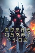 震惊高俅媳妇竟然养了个小白脸《