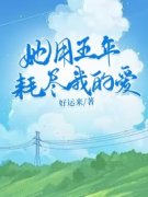主角是她用五年耗尽我的爱的小说