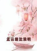 《孟云裳沈淮明》完整版在线阅读