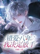 《错爱八年，我决定放手》小说章