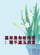 《孟思遐邵珈宸》大结局免费阅读