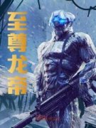 至尊龙帝至尊龙帝小说 陆鸣陆瑶在