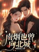《顾南烟陆北城》小说全文精彩试