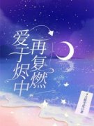 爱于烬中再复燃白菱苏斐渊精彩章