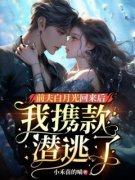 林蓓蓓陆瑾宴前夫白月光回来后，