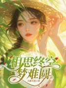 相思终空梦难圆(孟含顾未辞)全文完