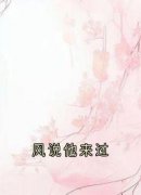 风说他来过全集免费在线阅读（萧